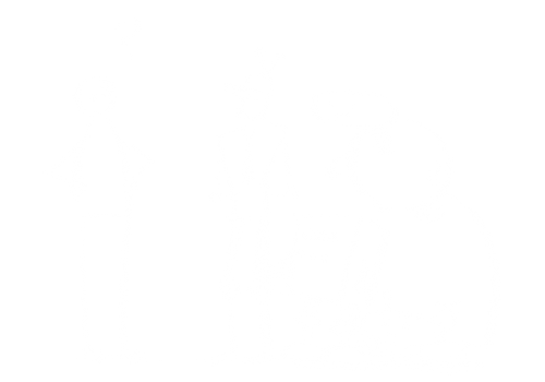 A person wonders at a group of eager robots