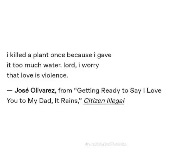 "i killed a plant once because i gave/it too much water. lord, i worry/that love is violence" by José Olivarez, with multiple overlayed TikTok watermarks below